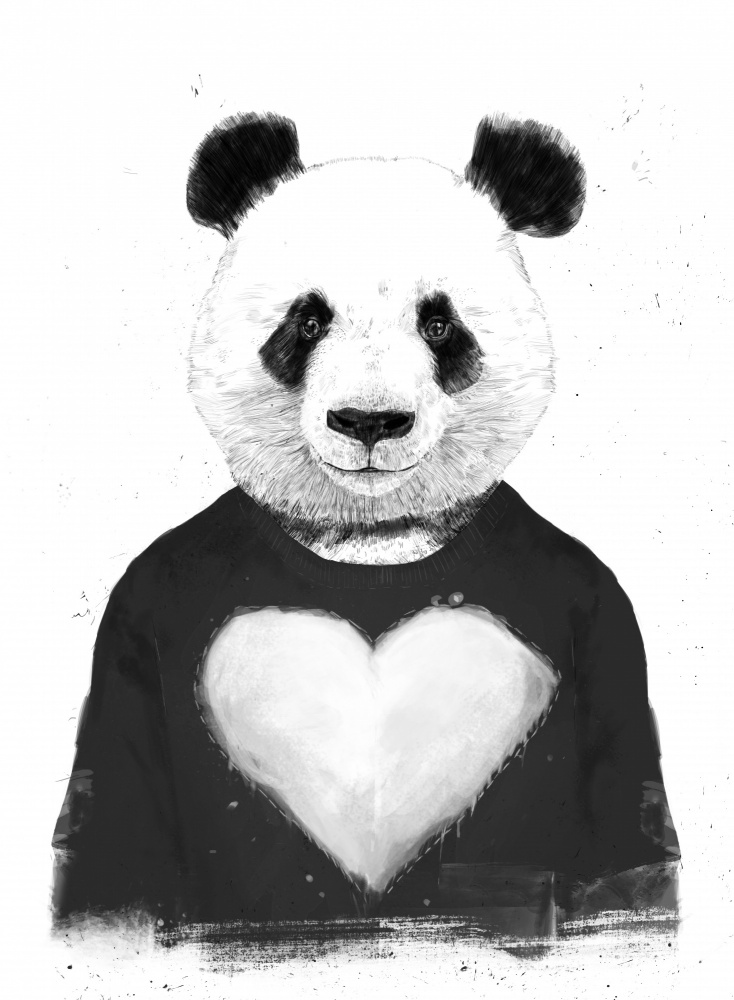 Schöner Panda von Balazs Solti