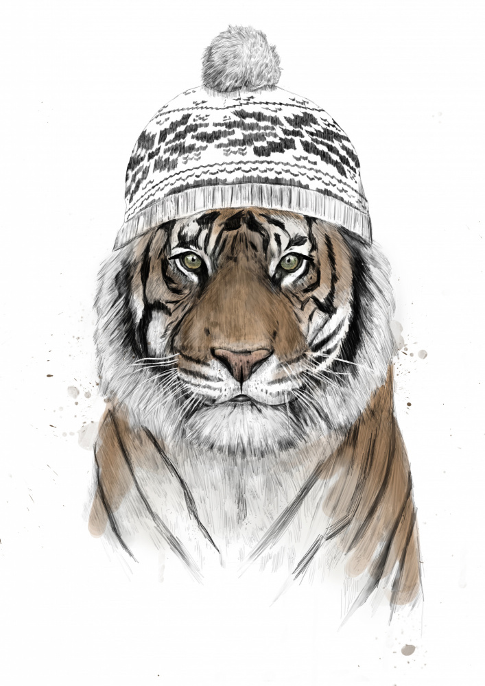 Sibirischer Tiger von Balazs Solti