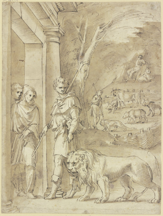 Androklus und der Löwe von Baldassare Peruzzi