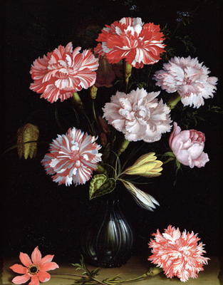 Floral Study: Carnations in a Vase (oil on panel) von Balthasar van der Ast