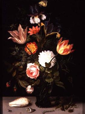 Still Life of Flowers in a Roemer with Two Shells