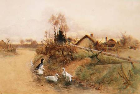 Dabbling Ducks von Benjamin D. Sigmund