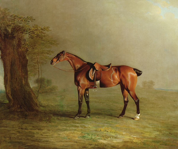 Racehorse von Benjamin Marshall