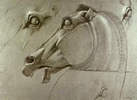 Kopf des Pferdes der Selene 1809