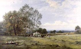 An English Hayfield 1880