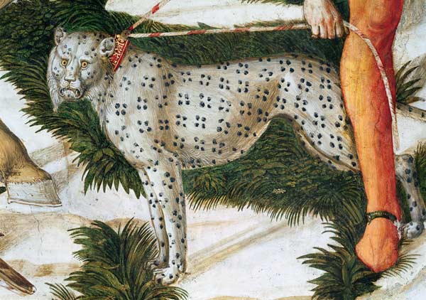 Leopard straining on a leash, detail from the Journey of the Magi cycle in the chapel von Benozzo Gozzoli
