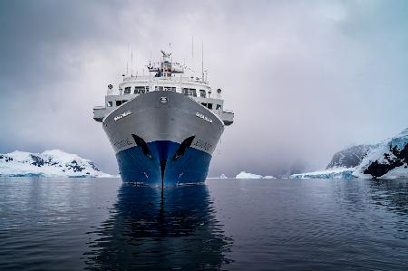 Antarktiskreuzer