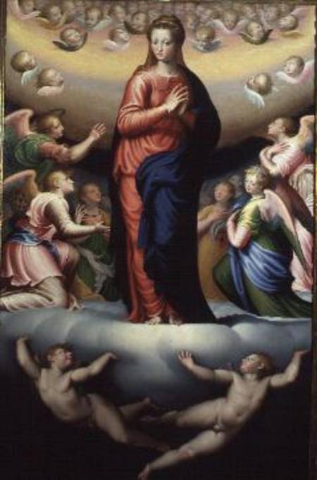 Madonna in Glory von Bernardino Campi