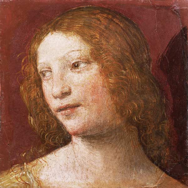 Head of a Young Woman von Bernardino Luini
