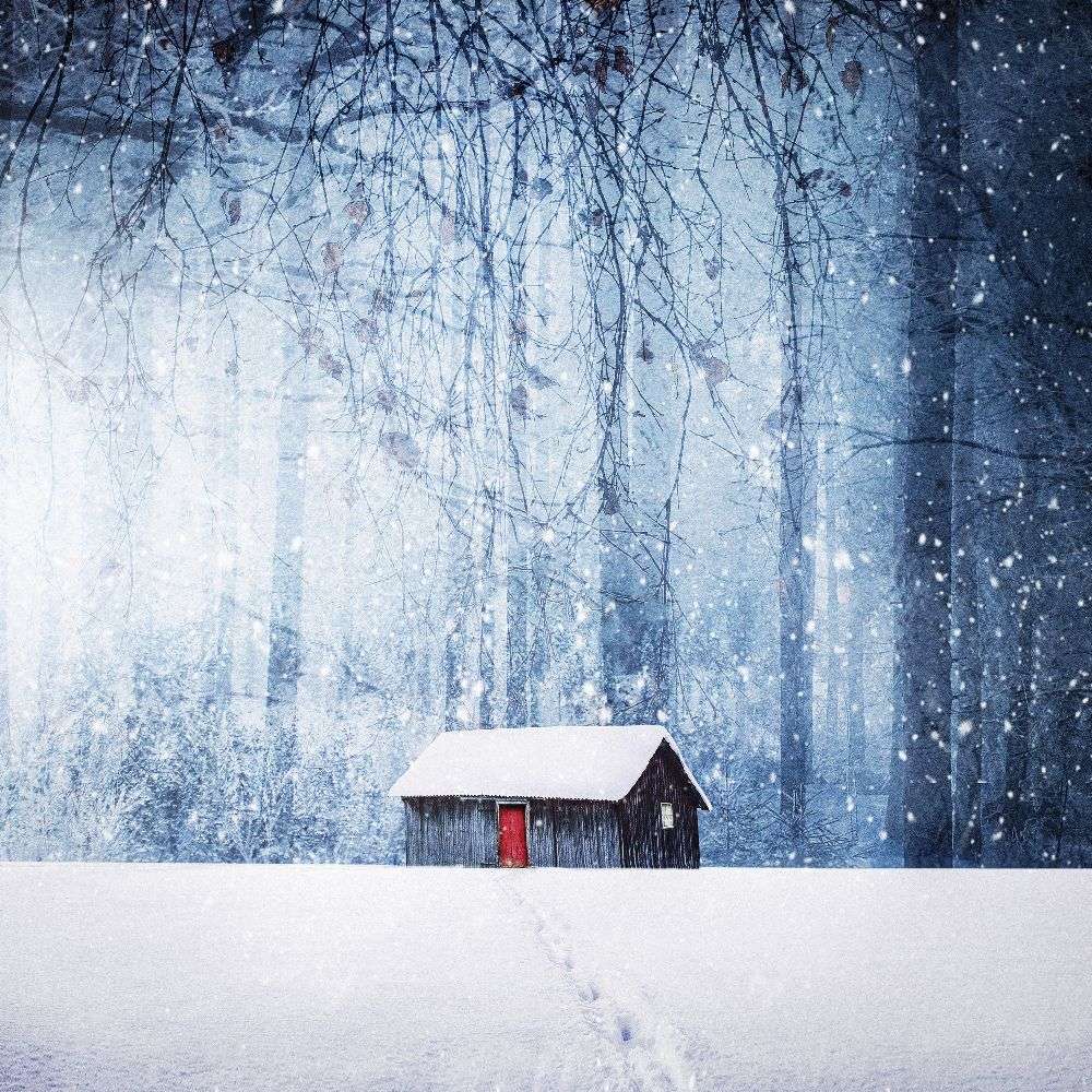 Winter von Bess Hamiti