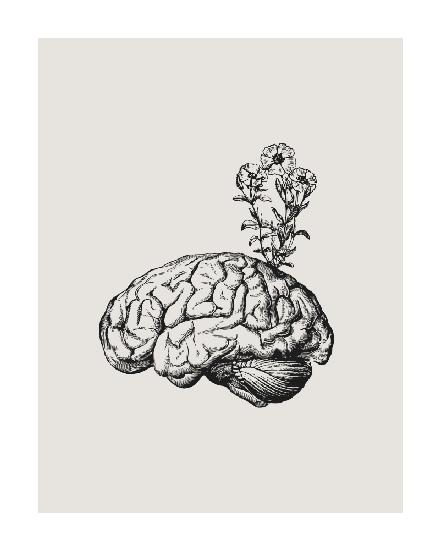 Gehirnblüte