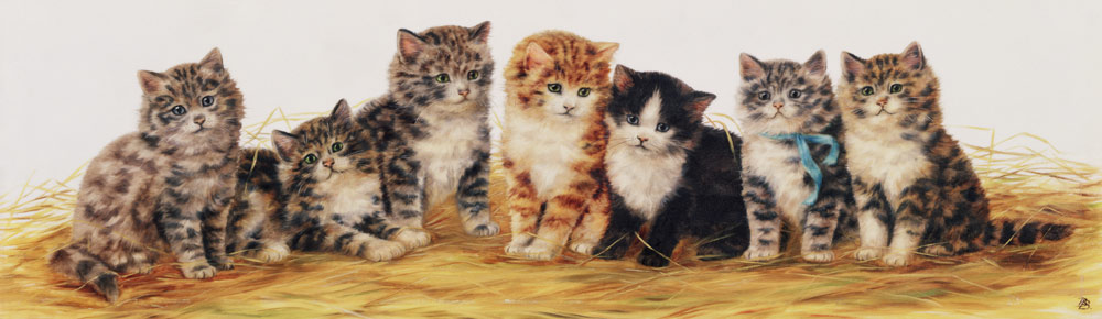 Seven Kittens von Betsy Bamber
