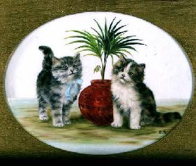 Kittens by a Palm in a Bowl