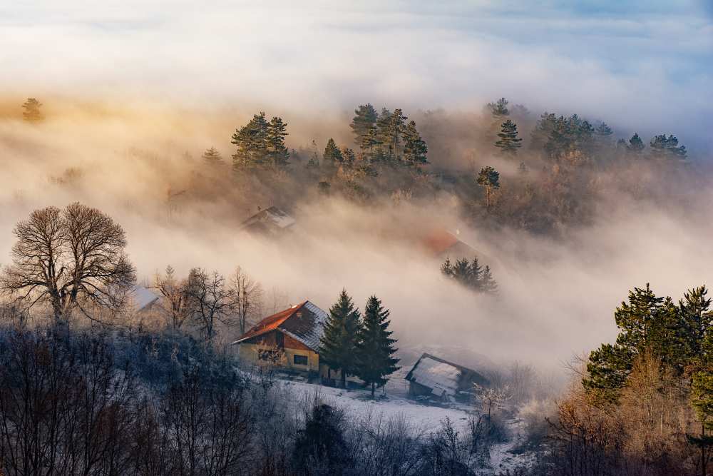 Misty winter days von Bez Dan