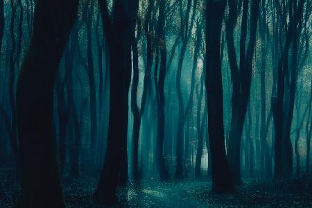 Der dunkle Wald