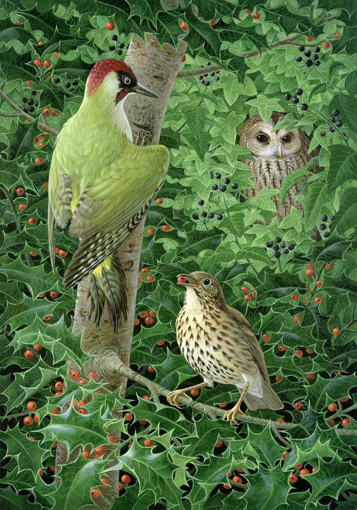 Woodpecker, Owl and Thrush von Birgitte  Hendil