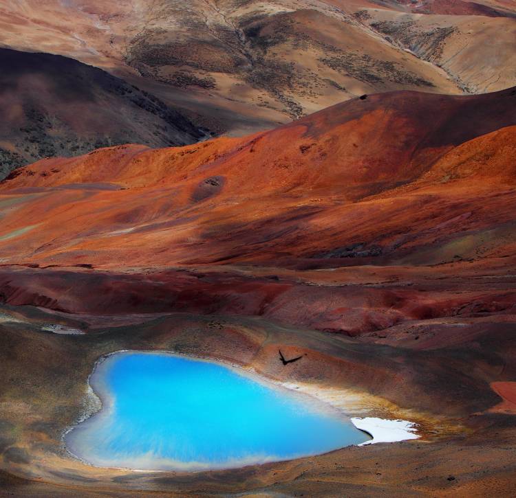 A Blue Heart von BJ Yang