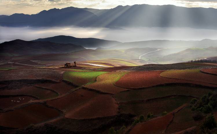 Early Spring On Red Land von BJ Yang