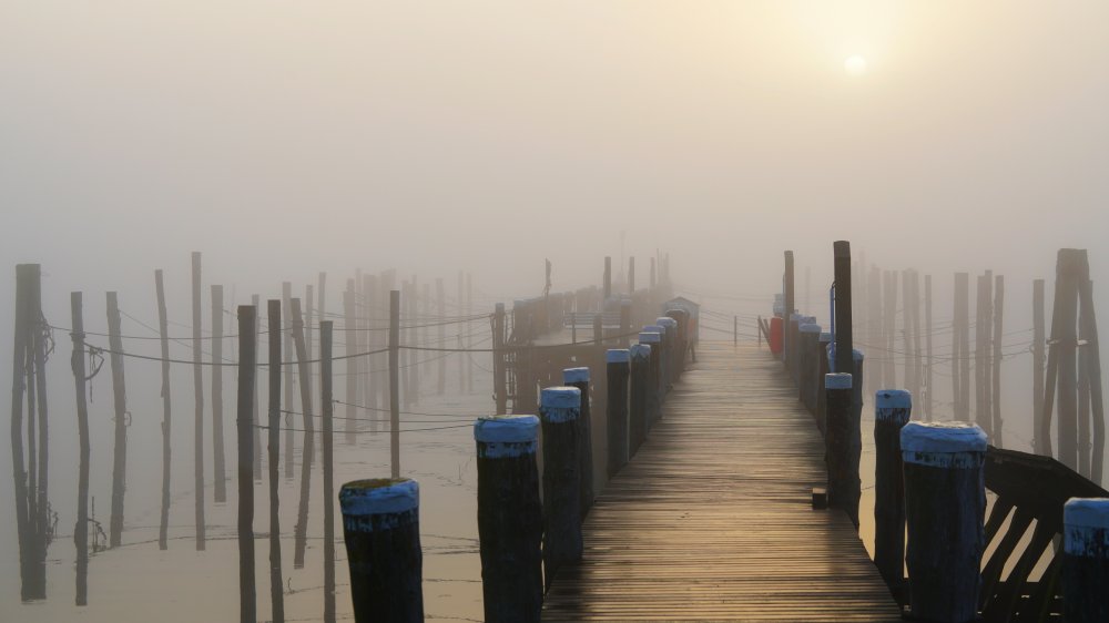 Goldener Nebel am einsamen Pier von Bodo Balzer