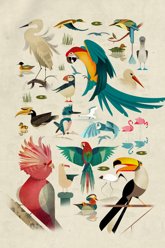 Die Vögel von Dieter Braun