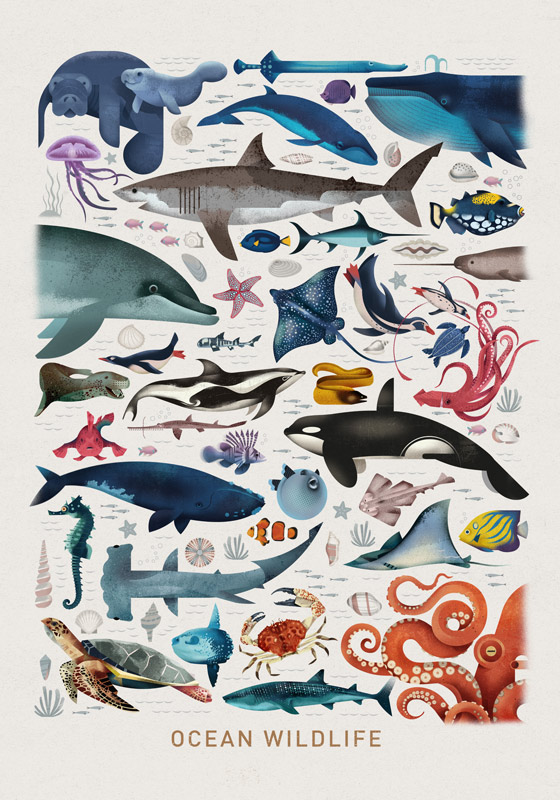 Ocean Wildlife von Dieter Braun