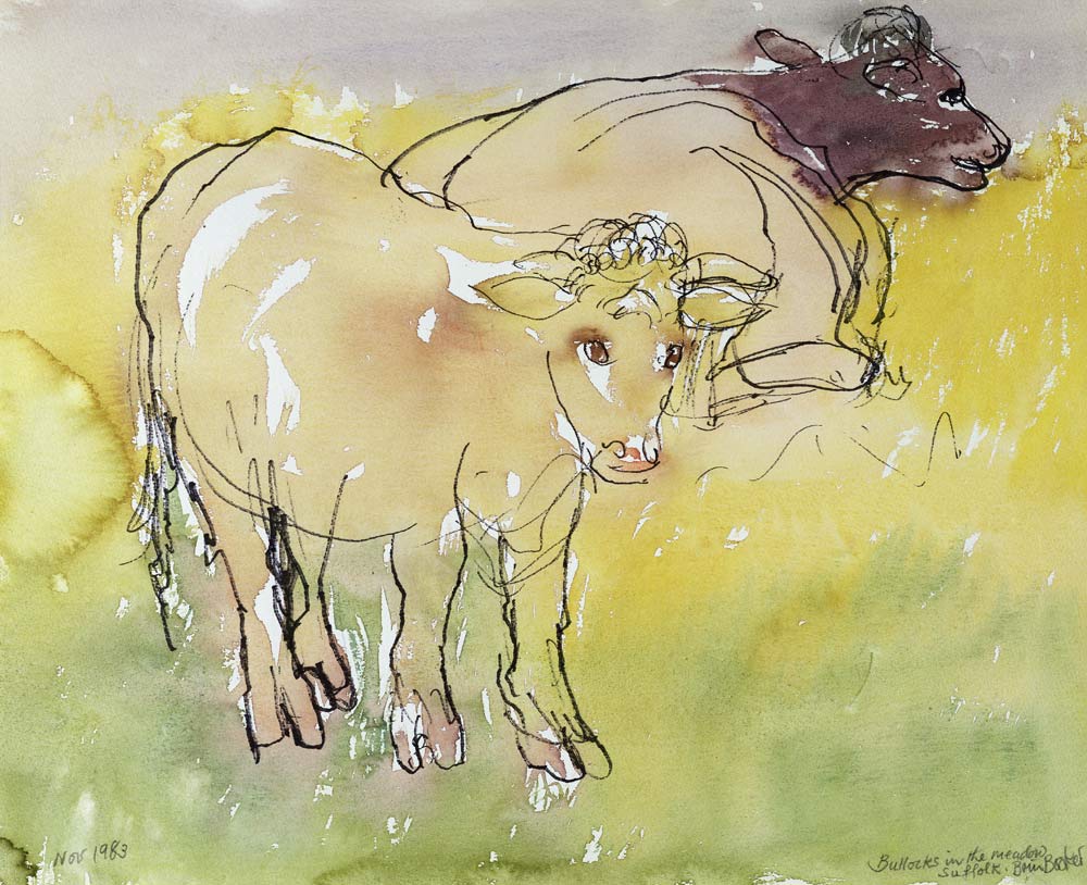 Young Bullocks in the Meadow, 1983 (pen & ink with w/c on paper)  von Brenda Brin  Booker