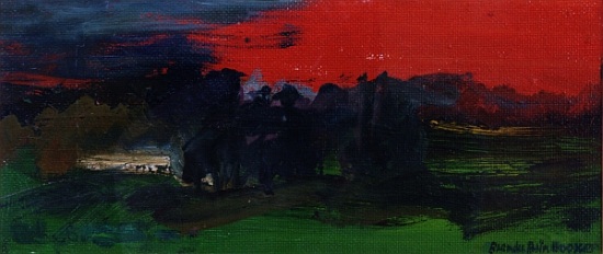 Landscape with a Red Sky von Brenda Brin  Booker