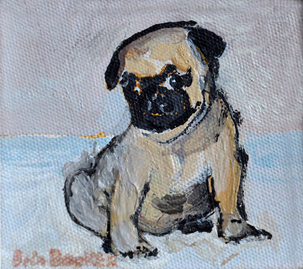 Vincent, the pug puppy von Brenda Brin  Booker