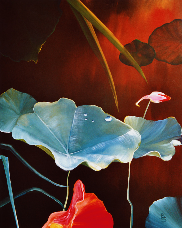 Kapuzinerkresse mit Blüte von Britta Steding