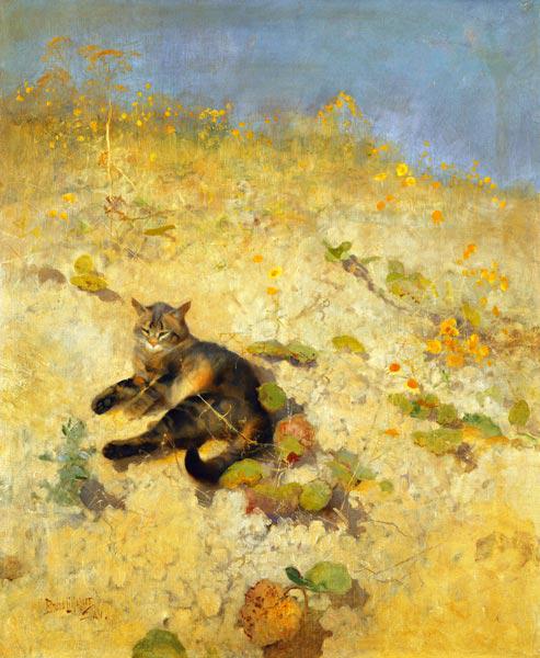 Eine sich sonnende Katze 1884