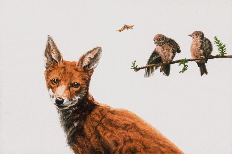 Fox Birds von Maxine R. Cameron