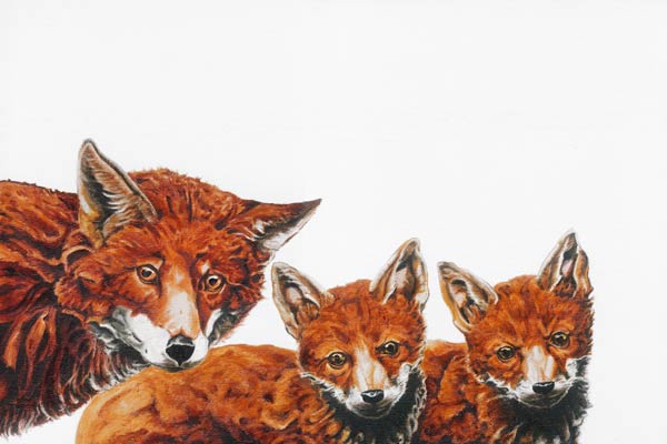 Meet the Foxes 2 von Maxine R. Cameron