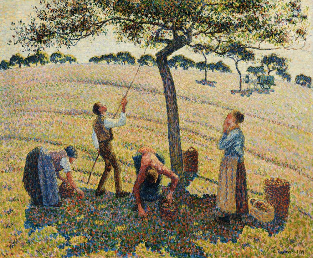 Die Apfelernte von Camille Pissarro