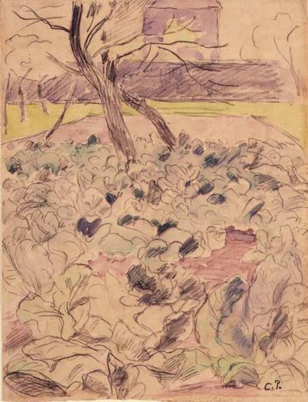 The Cabbage Field von Camille Pissarro