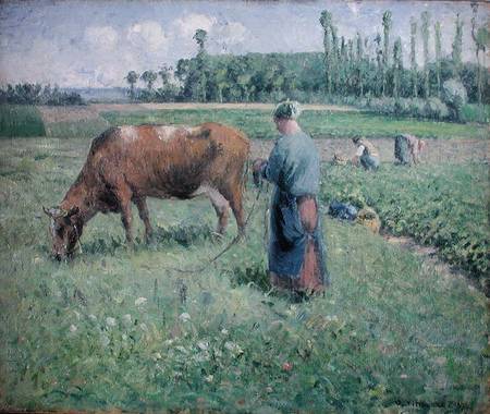Girl Tending a Cow in Pasture von Camille Pissarro