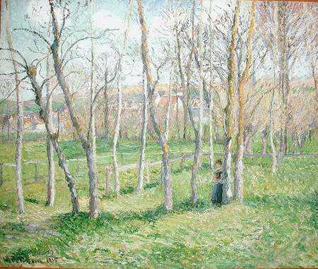 Meadow at Bazincourt von Camille Pissarro