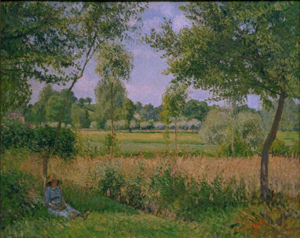 Pissarro / Matin, effet de soleil von Camille Pissarro