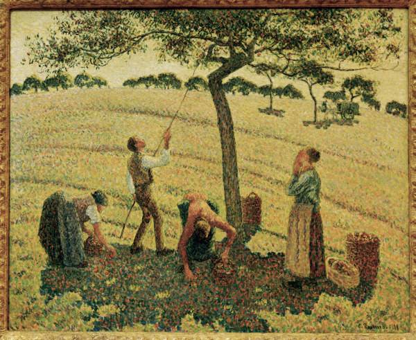 Pissarro / The Apple Harvest von Camille Pissarro