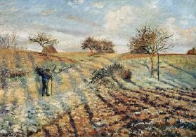 White Frost 1873