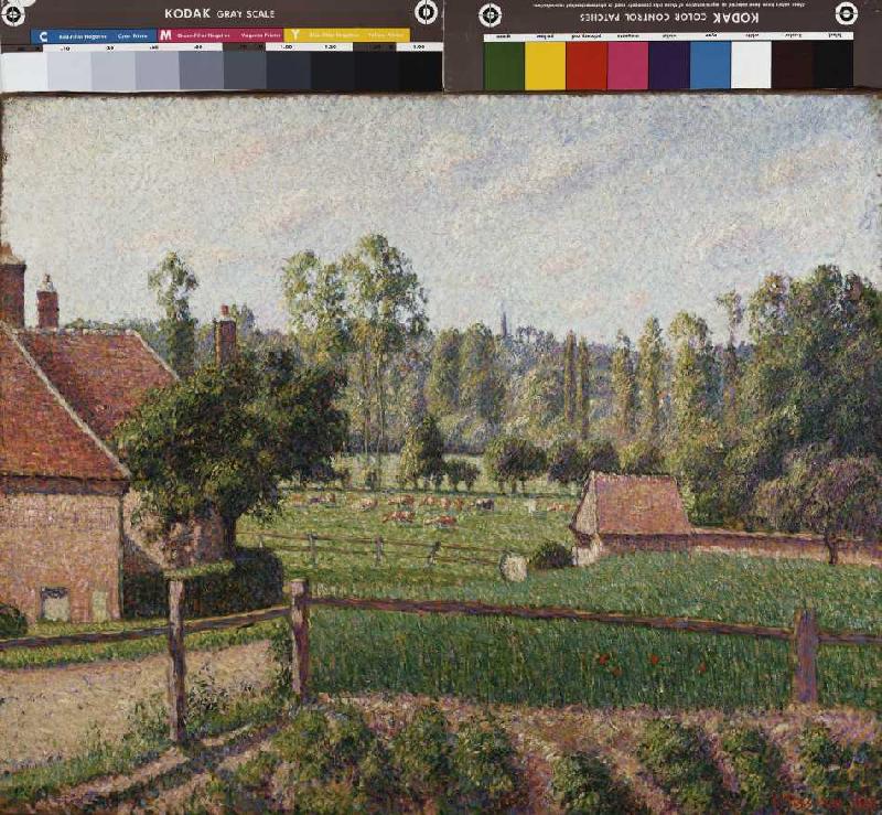 Wiese in Eragny von Camille Pissarro