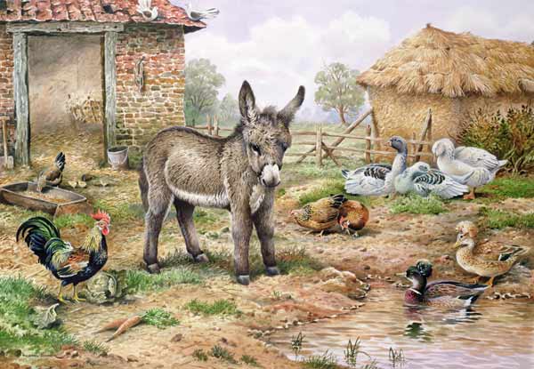 Donkey and Farmyard Fowl  von Carl  Donner