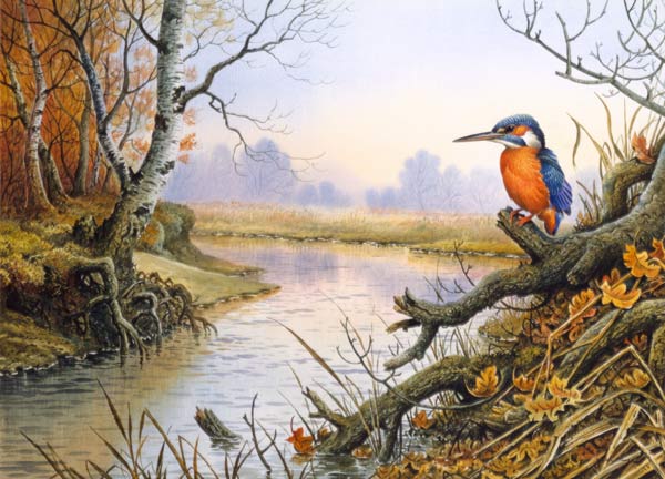 Kingfisher: Autumn River Scene  von Carl  Donner