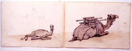 Two sketches of dromedaries von Carl Haag