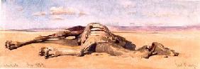 A Dead Camel 1859  on