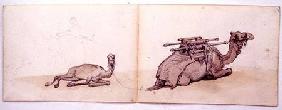 Two sketches of dromedaries 1873-74 ci