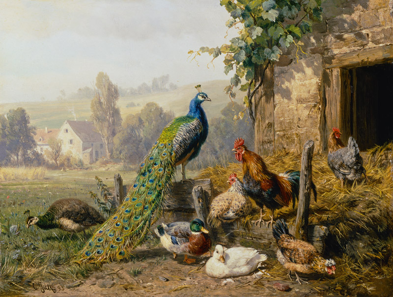 Hühnerhof mit Pfau. von Carl Jutz