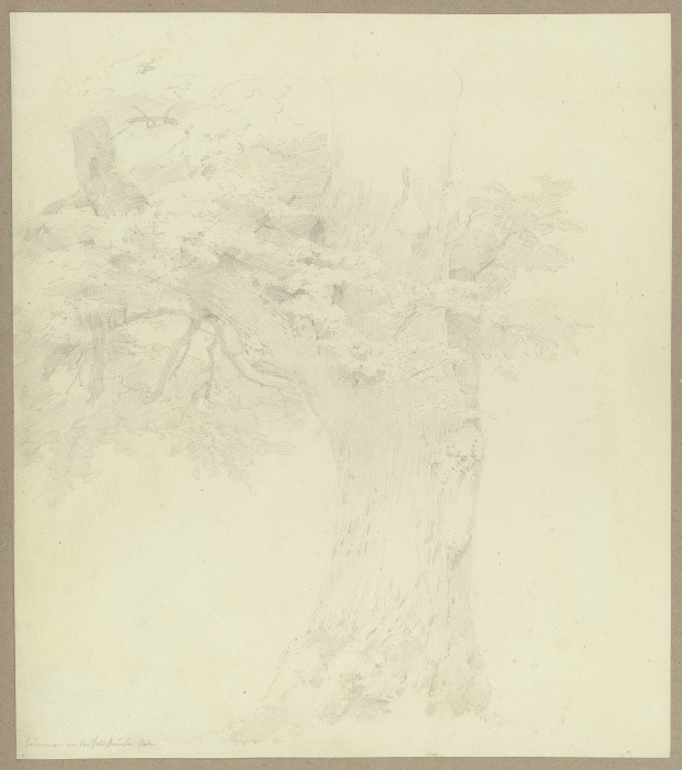 Alter Baum am Brunnen bei der Holzhäuser Öde von Carl Theodor Reiffenstein