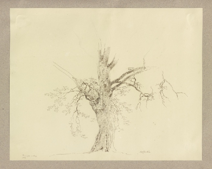 Alter Baum bei Braunfels von Carl Theodor Reiffenstein