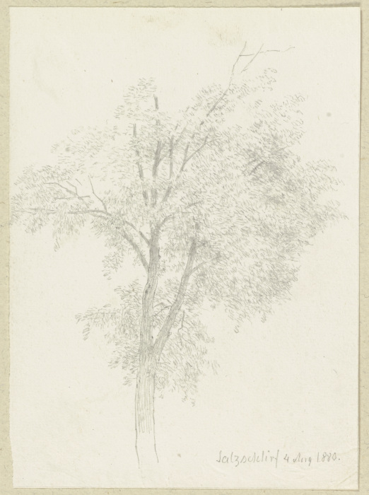 Baum bei Salzschlirf von Carl Theodor Reiffenstein