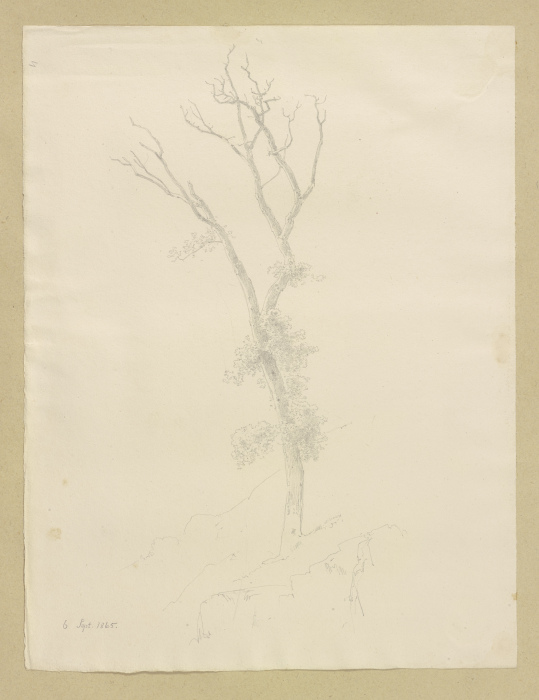 Baum mit abgestorbener Krone von Carl Theodor Reiffenstein